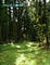 Alishan