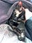 玳瑁貓 Tortoiseshell Cat