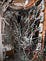 Photo of many cables entangled together