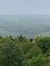 View over treetops to misty hills in background
