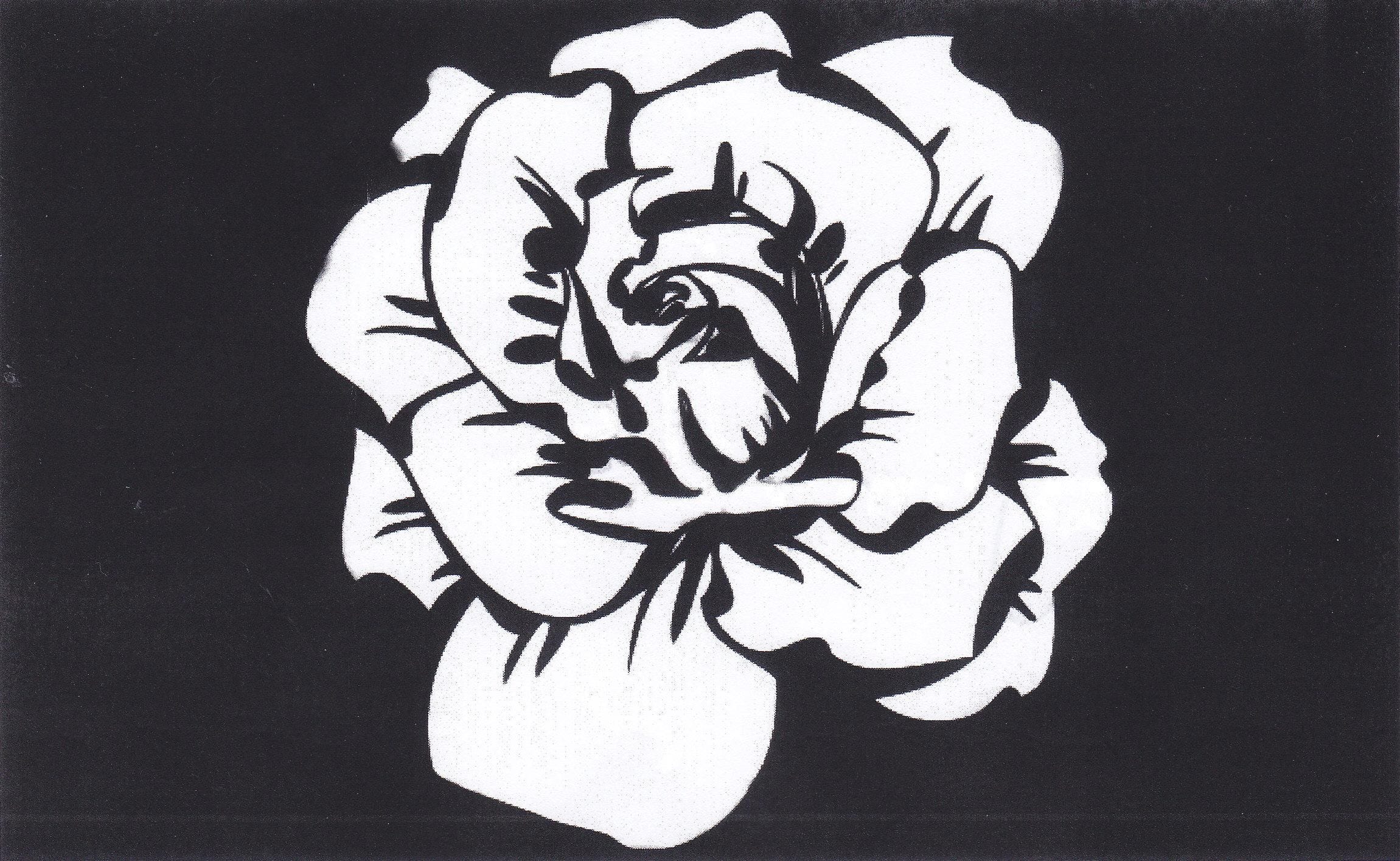 Rose symbol weiße bedeutung widerstandsgruppe Weiße Rosen