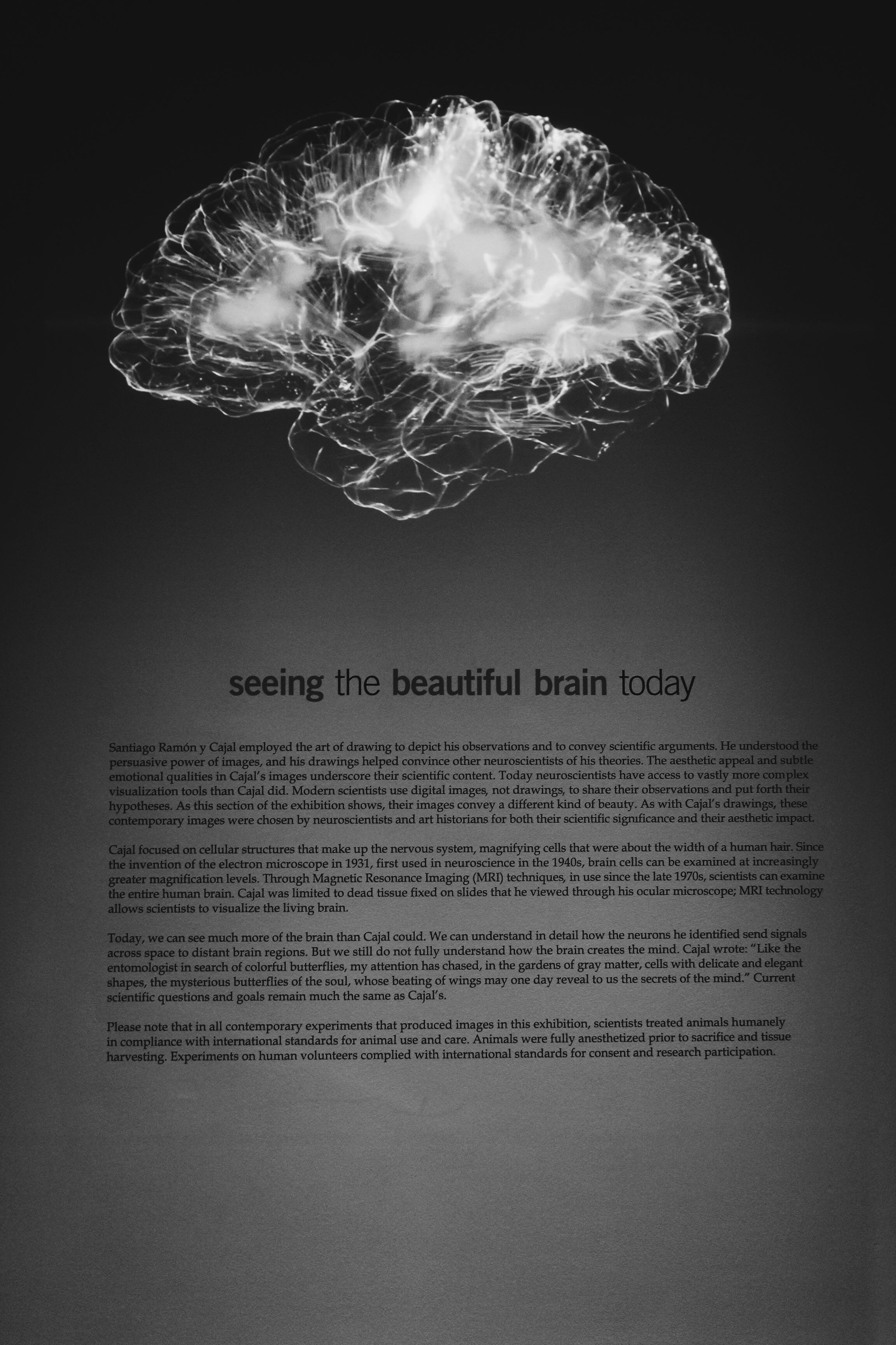Can You Educate Your Way Out Of Poor Mental Health By Alex Boast Invisible Illness Medium