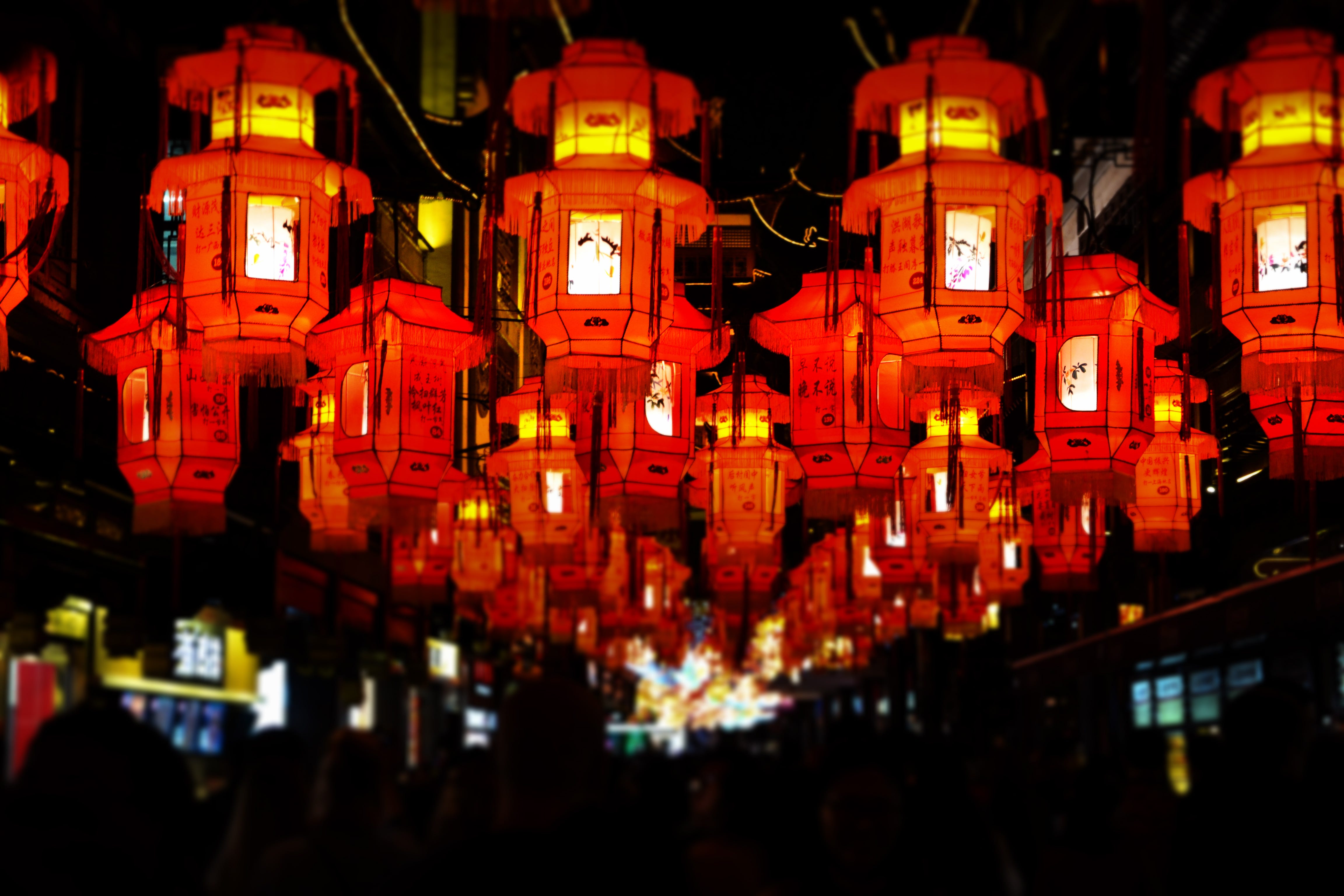 the lantern light festival