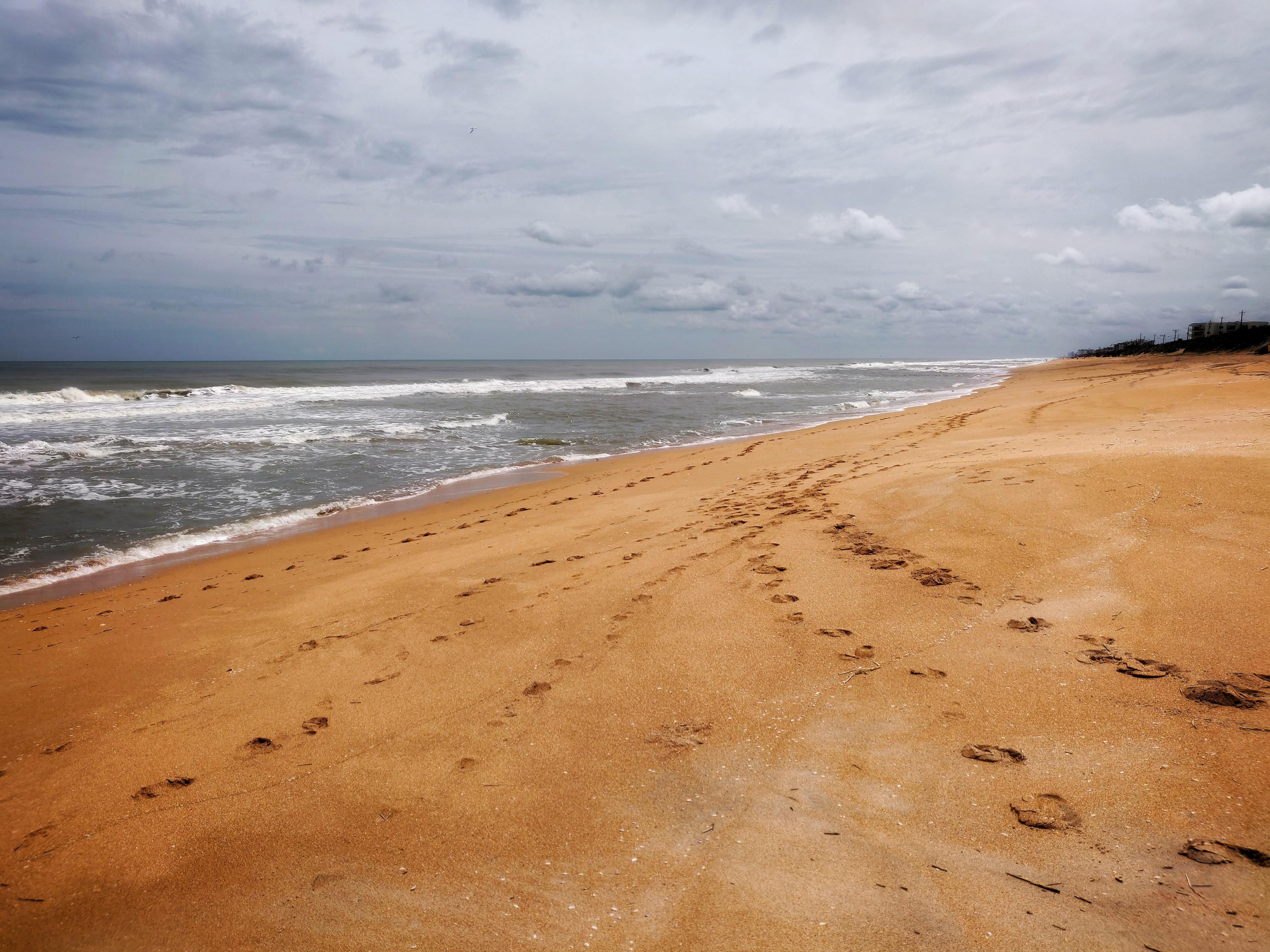 Breathing Easy Aaron Lee Medium