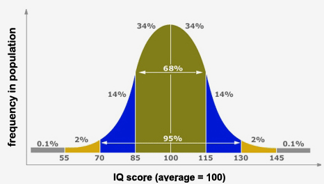 IQ TEST ONLINE: Come misurare il quoziente intellettivo in pochi minuti |  by Ginevra Varcasia | Medium