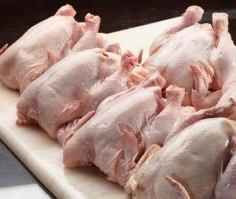 Cara Memaksimalkan Bobot Ayam Broiler Untuk Dijadikan Karkas Ayam By Rodiatul Mardiyah Medium
