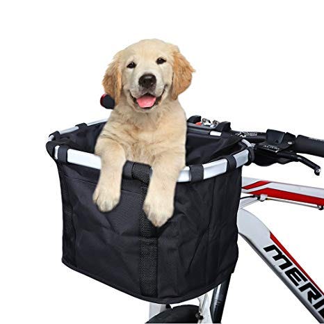 large dog carrier for bike