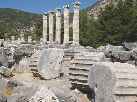 Priene: remarkable site, and shade too when you need it