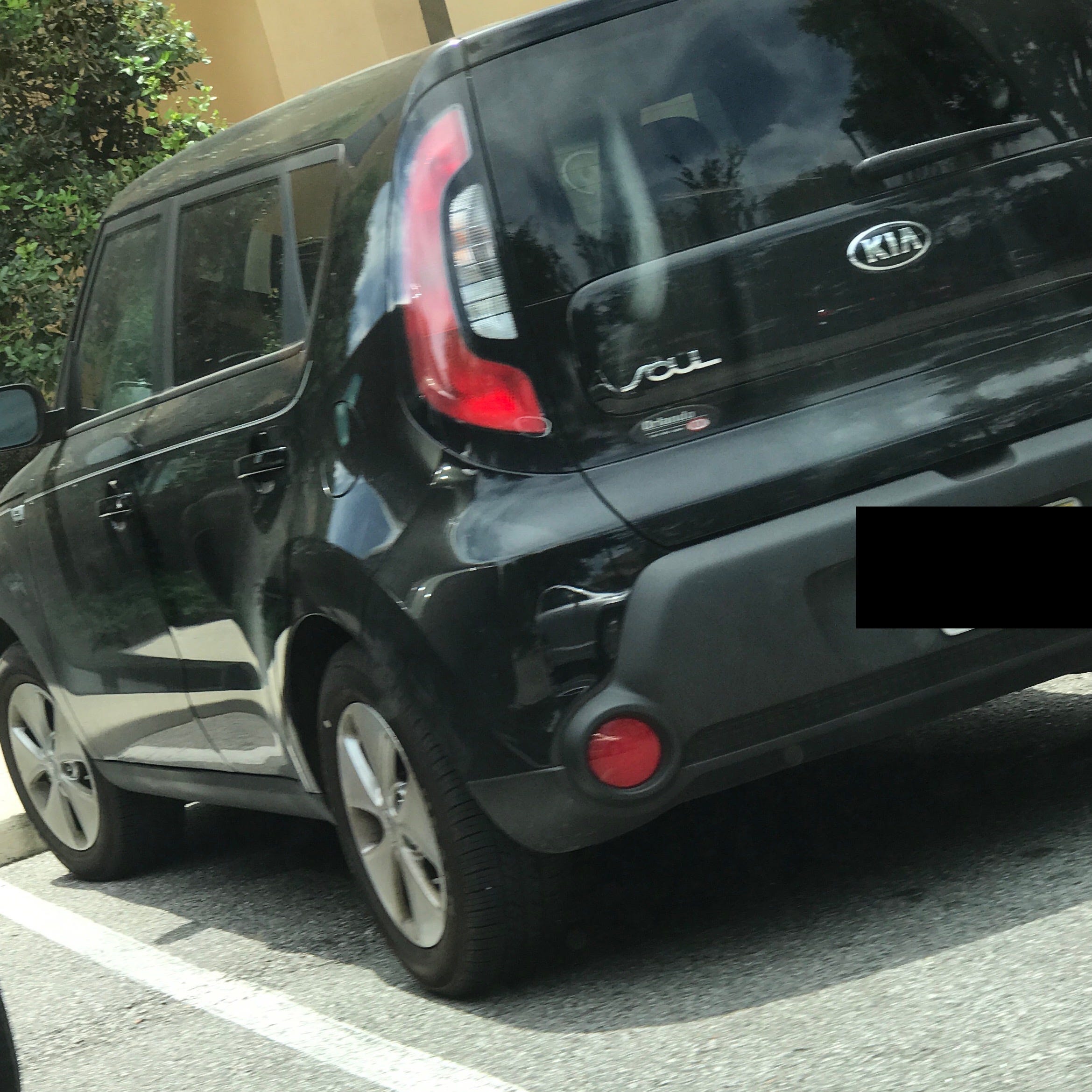 The Kia Soul Conspiracy Donut Holes Medium