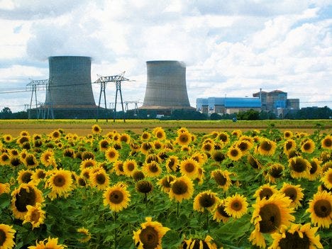 Nuclear Radiation And Sunflowers By Arjun The Ploy Stories For Amusement Medium