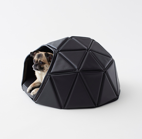 the range dog accessories