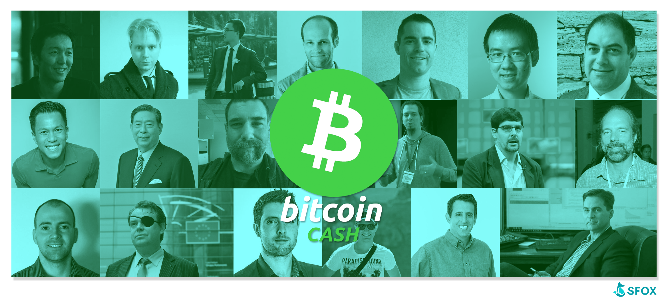 The Bitcoin Cash People Platforms !   Wallets And Miners You Need To Know - 