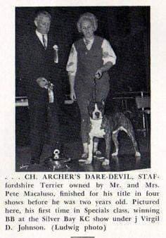 dynamite jean jacket