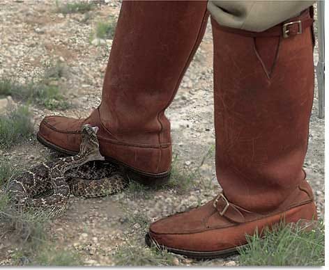 snake proof boots on sale