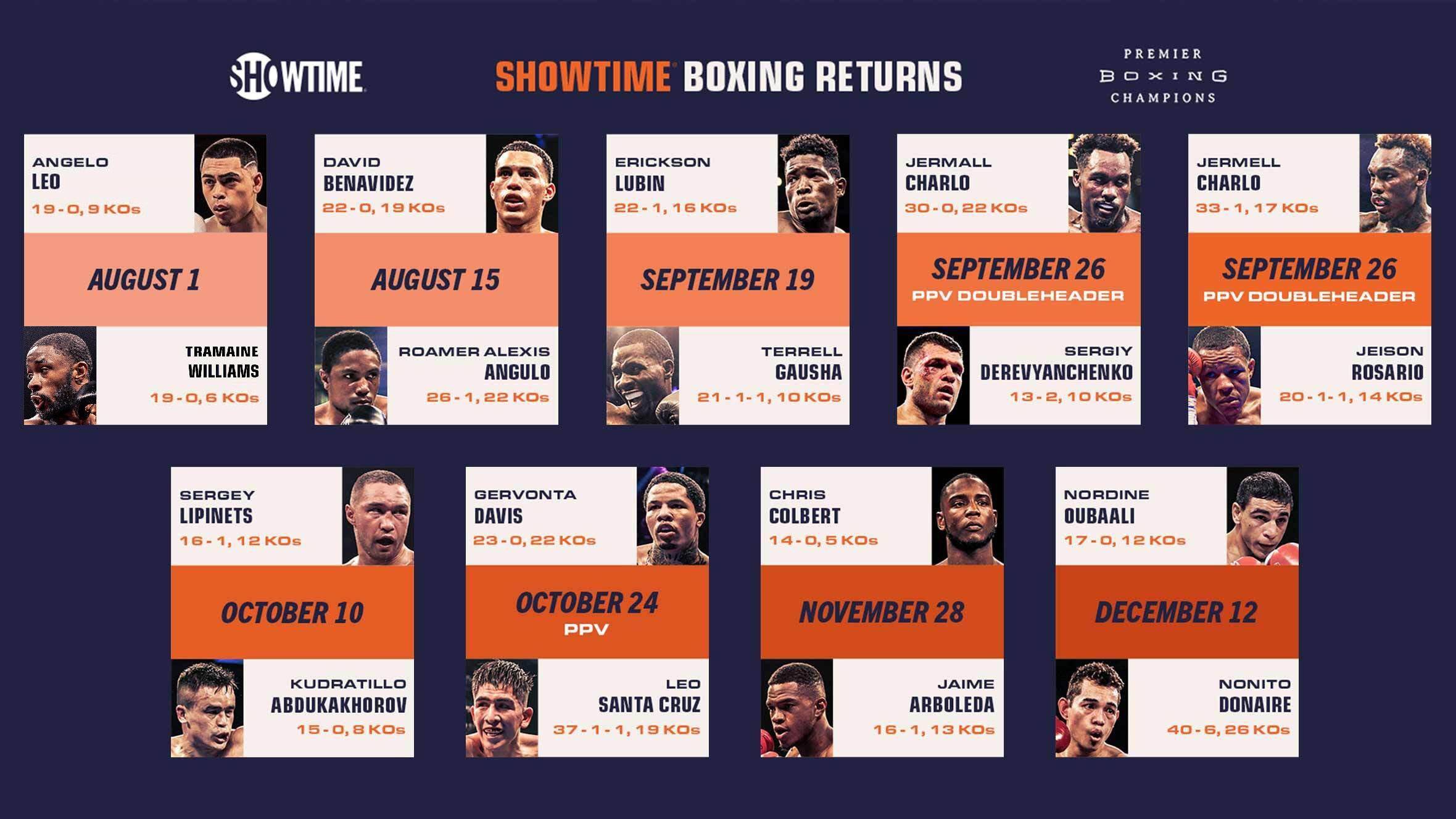 Our Full Preview Guide for Showtime’s Ambitious Fall Schedule by John Cudney sundaypuncher