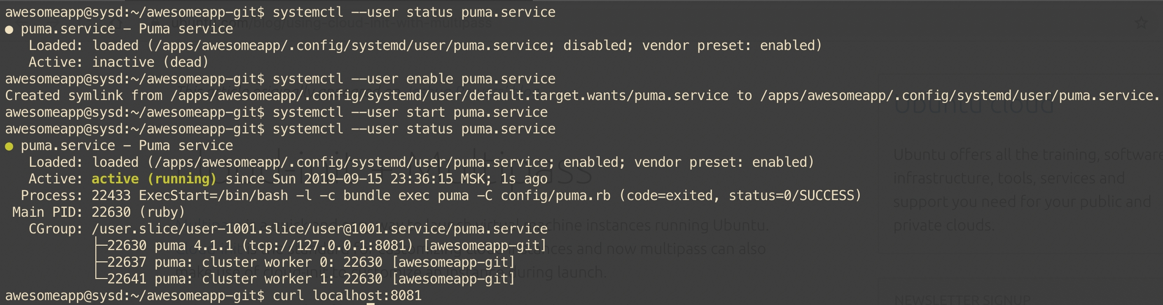 Unicorn \u0026 Puma web servers with systemd 