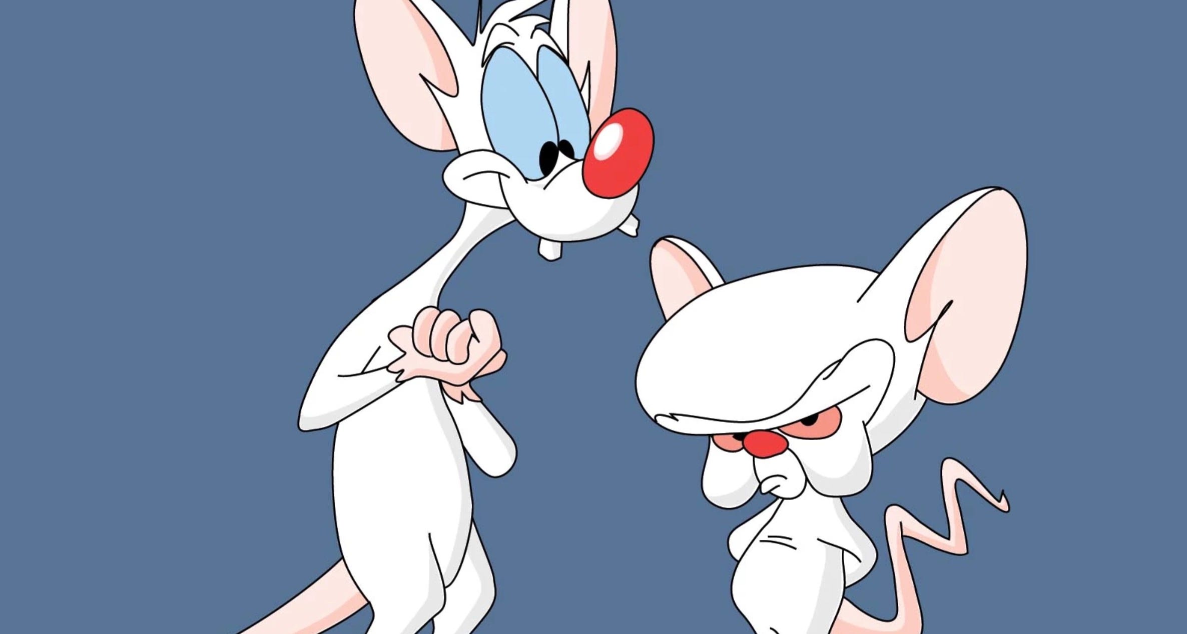 PINKY AND THE BRAIN