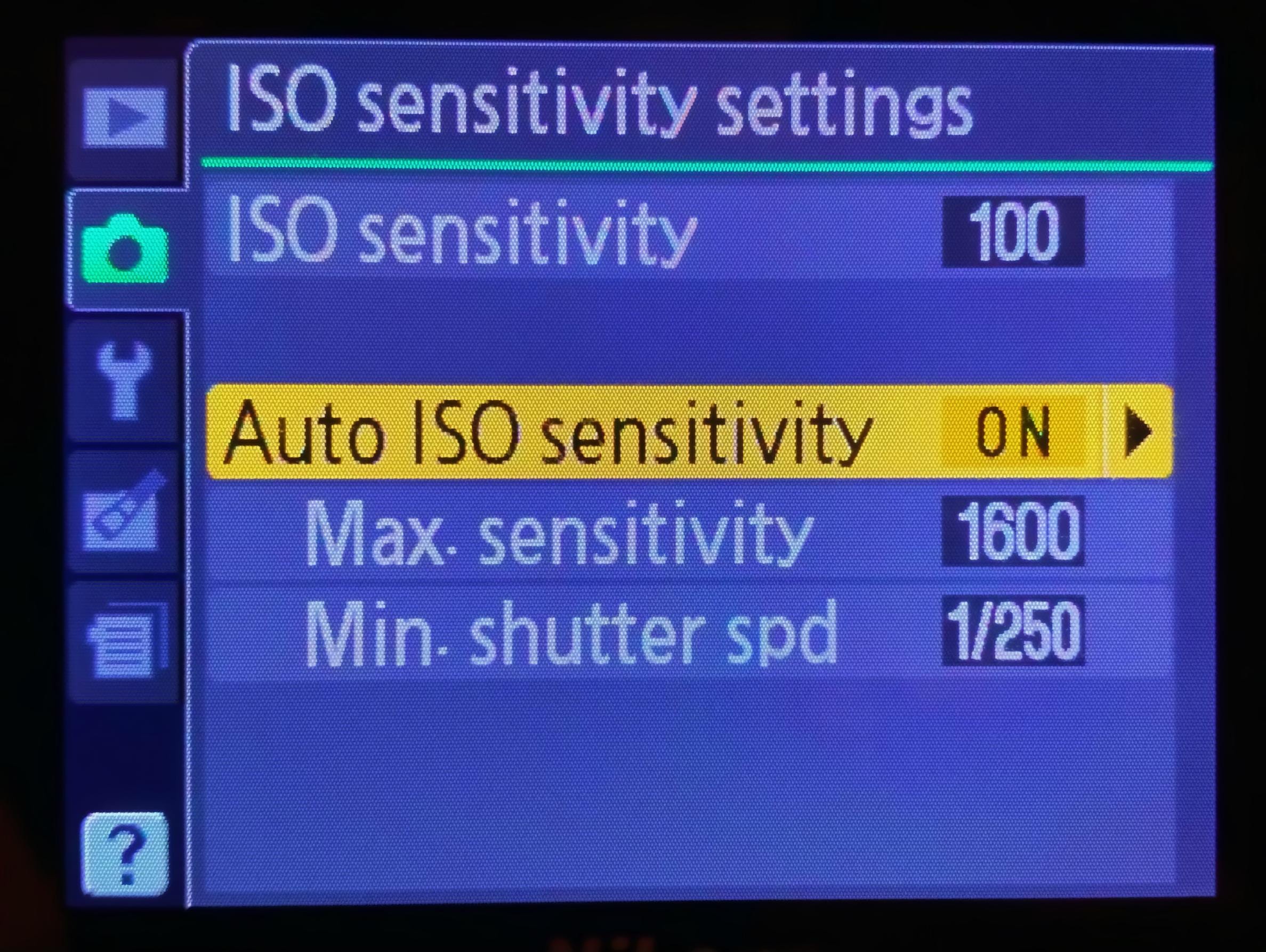 The Auto ISO settings on the back of a camera.