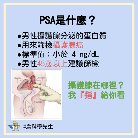 診間的100個為什麼 6個也會導致psa上升的原因 把病人的問題集結起來 也許別人的問題就是您的疑問 By 鳥科學先生 泌尿科顧芳瑜醫師