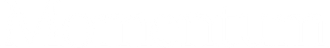 Momentum