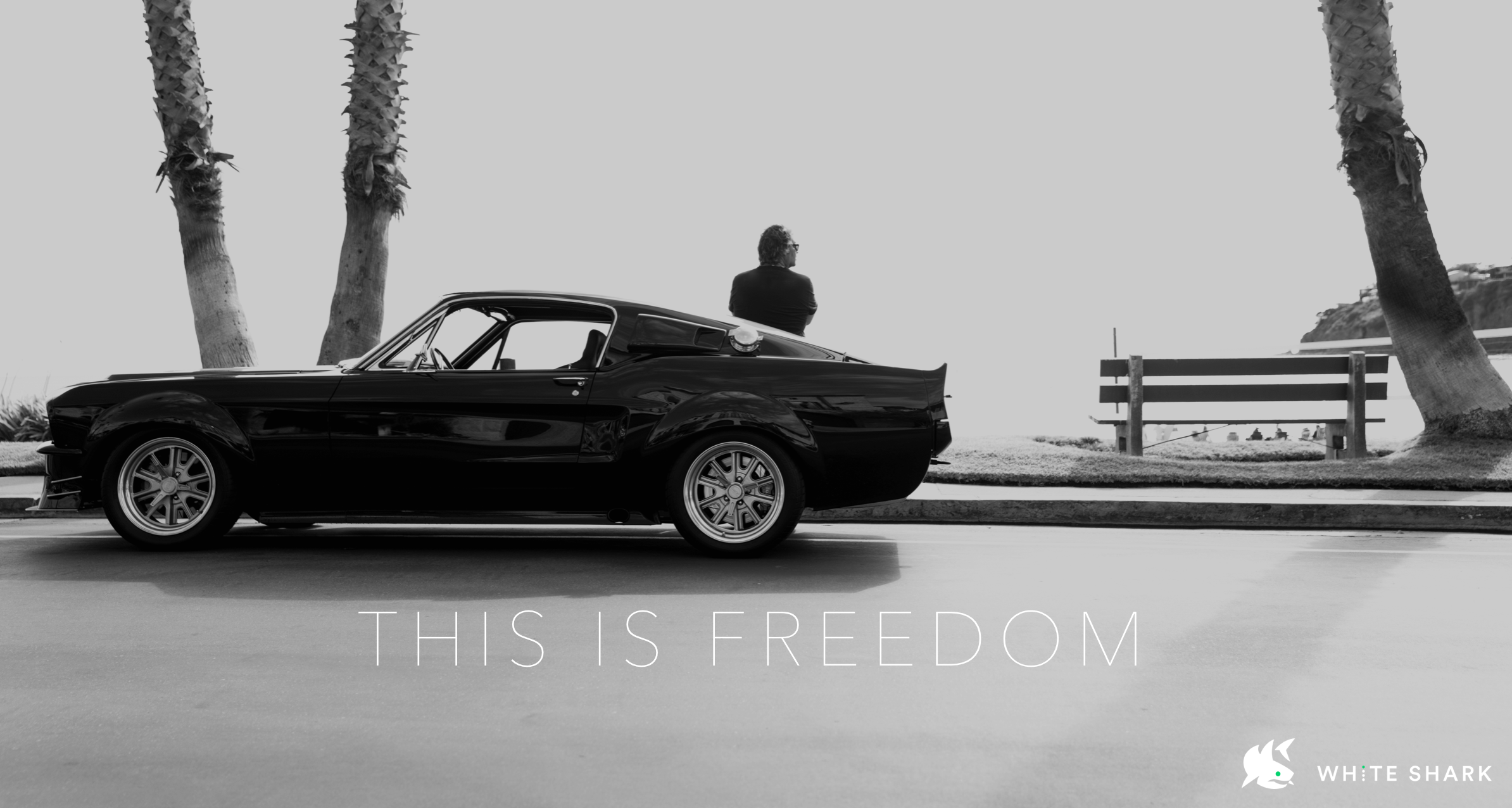 white shark trading app