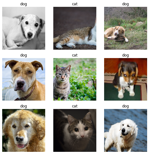 Deep learning with fastai — Dogs and cats classification | by Thomas  Laurent | Medium