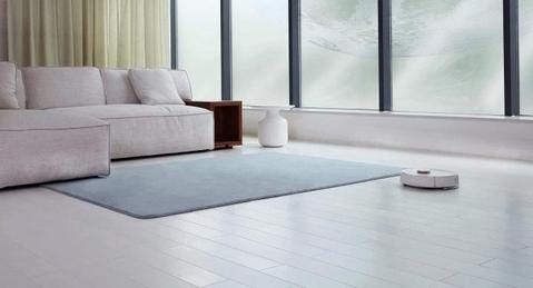 best robot vacuum large house