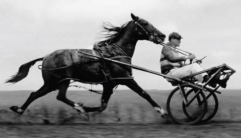 Image result for cart before the horse