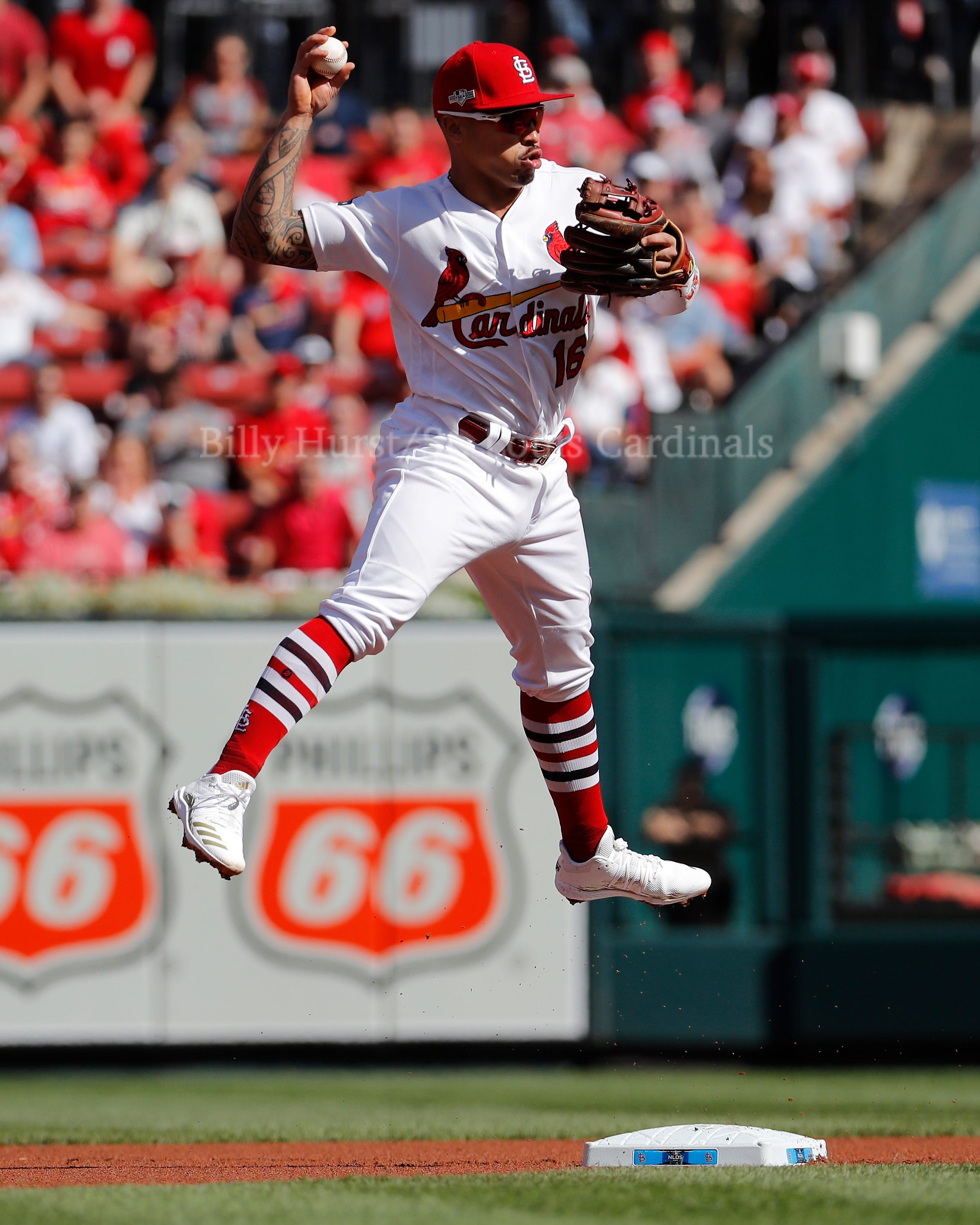 Gold Glove Nominees - Cardinals Insider