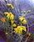 Stunning flower photo with a desaturated blurred background - smartphone photography