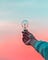 Startup, Branding, Creative Circus Agency