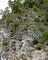 45 Commando carrying out fixed line climbing in Slovenian mountains