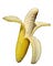 wikimedia commons image from https://commons.wikimedia.org/wiki/Banana#/media/File:Banana_on_whitebackground.jpg