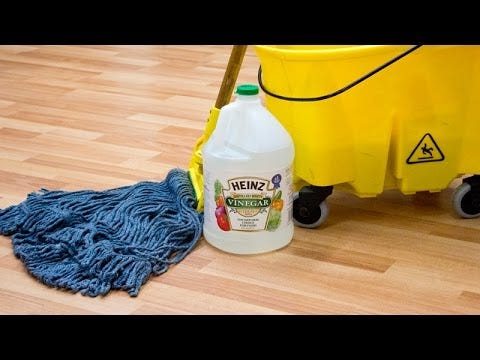 Mop the floor with VINEGAR and see what happens — YouTube