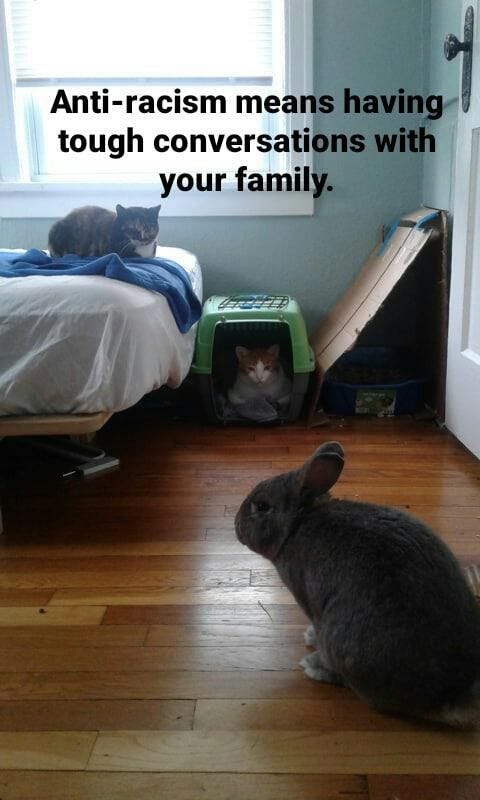 Cats and Anti-Racism – Everyday Embellishments