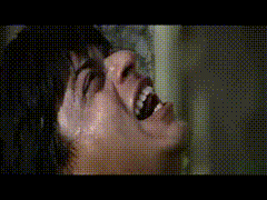 Shah Rukh Khan: Does the Superstar Make a Better Lafangey or Lover? | by pri gulati [she/her] | Medium