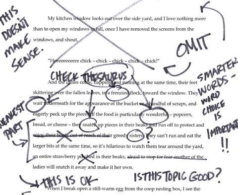 college essay writing 101 college essay writing 101