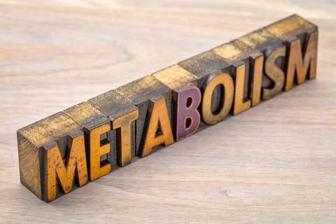 how to kickstart your metabolism in the morning