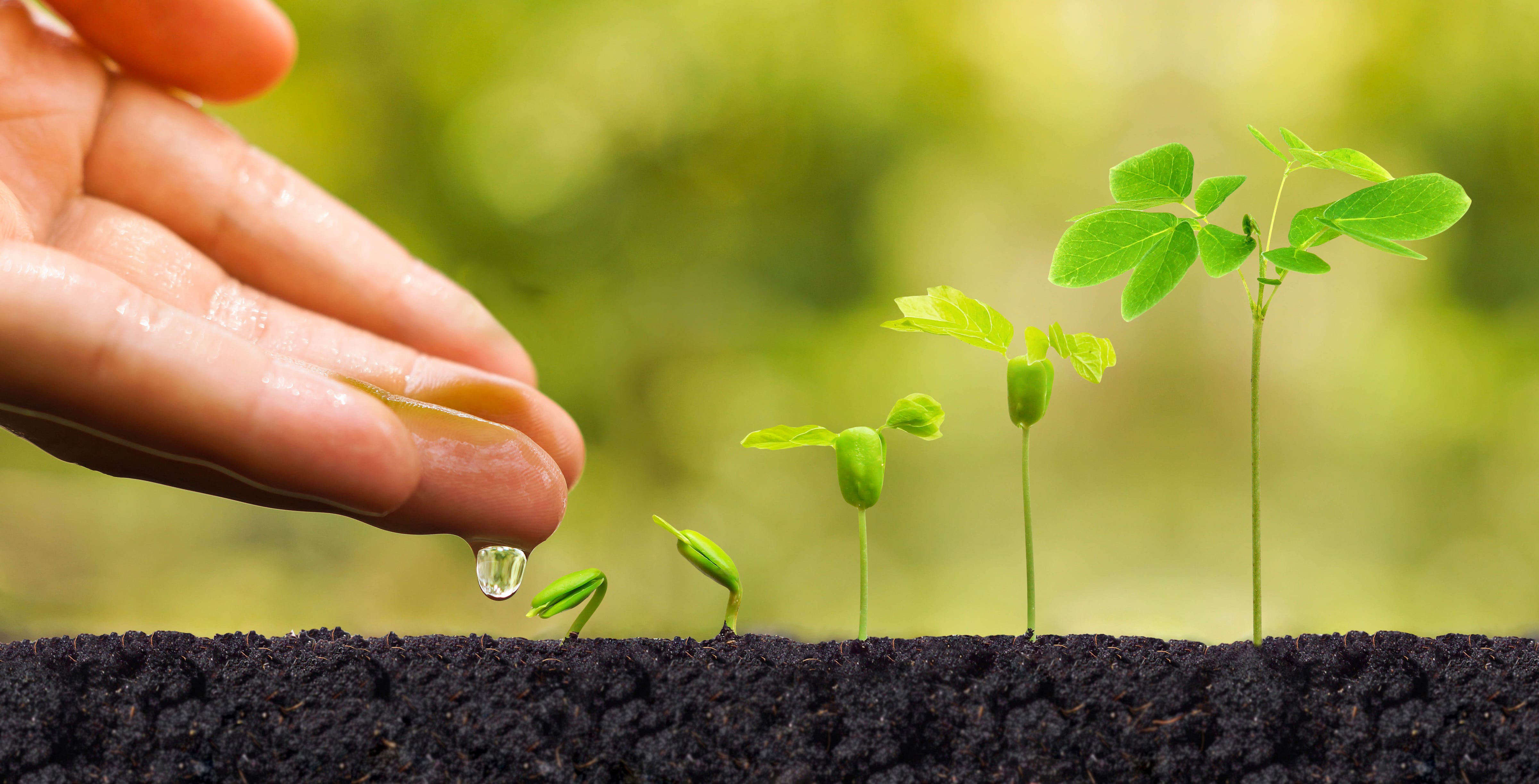 Planting a Seed: 5 Funding Options to Get Your New Startup Off the Ground