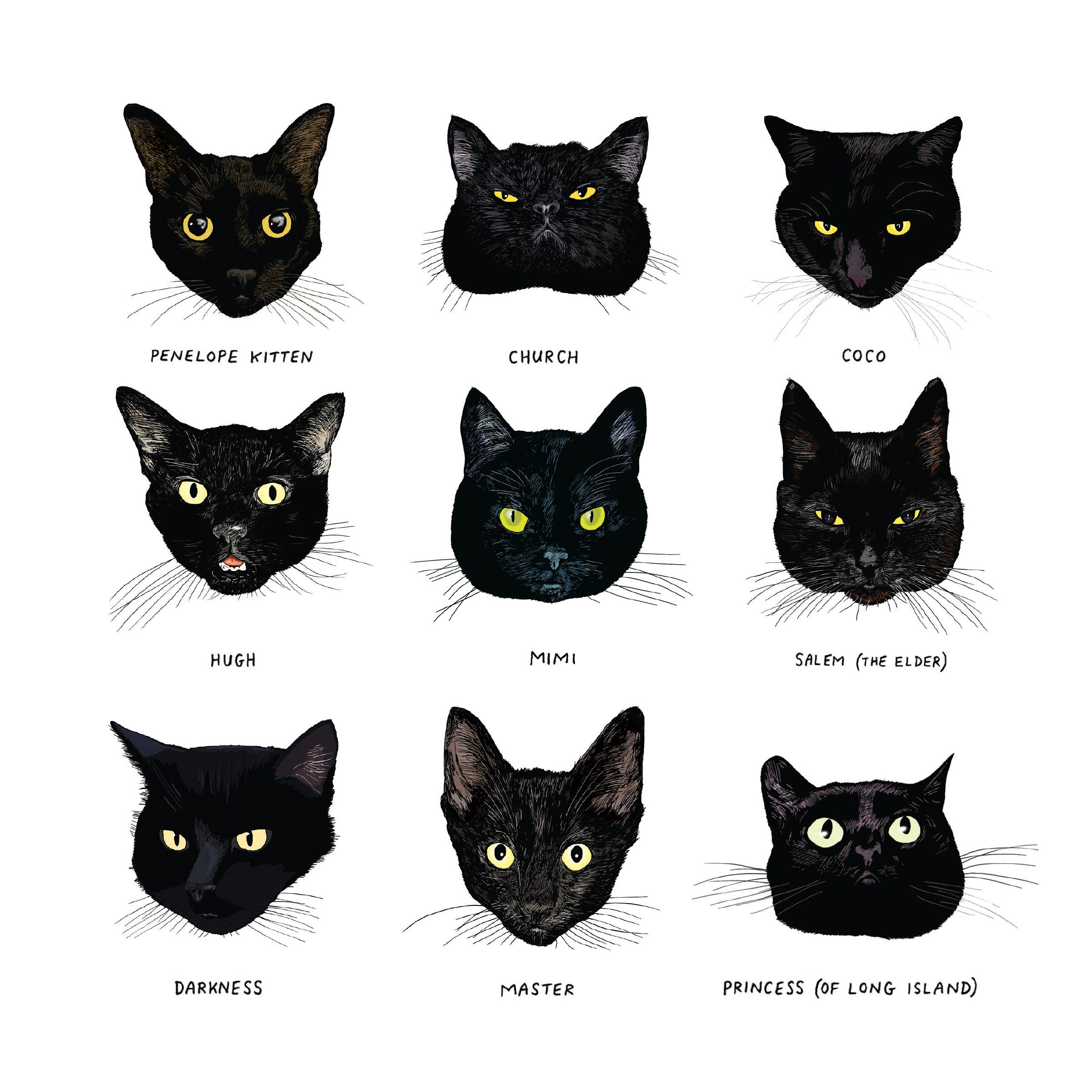 Open Book: All Black Cats Are Not Alike - Chronicle Books - Medium