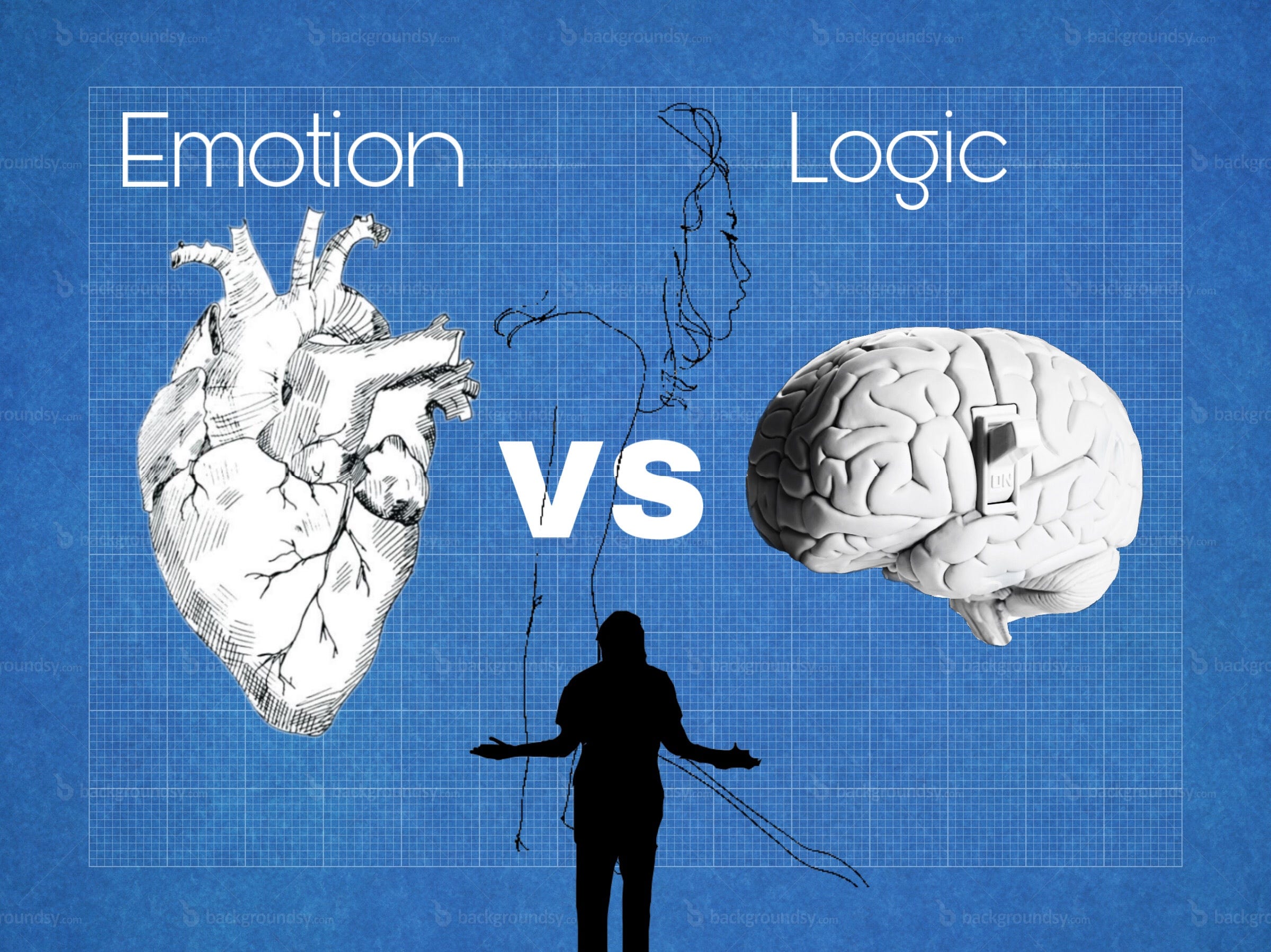 The Difference Between Using Logic Versus Emotion by Meghan Madness