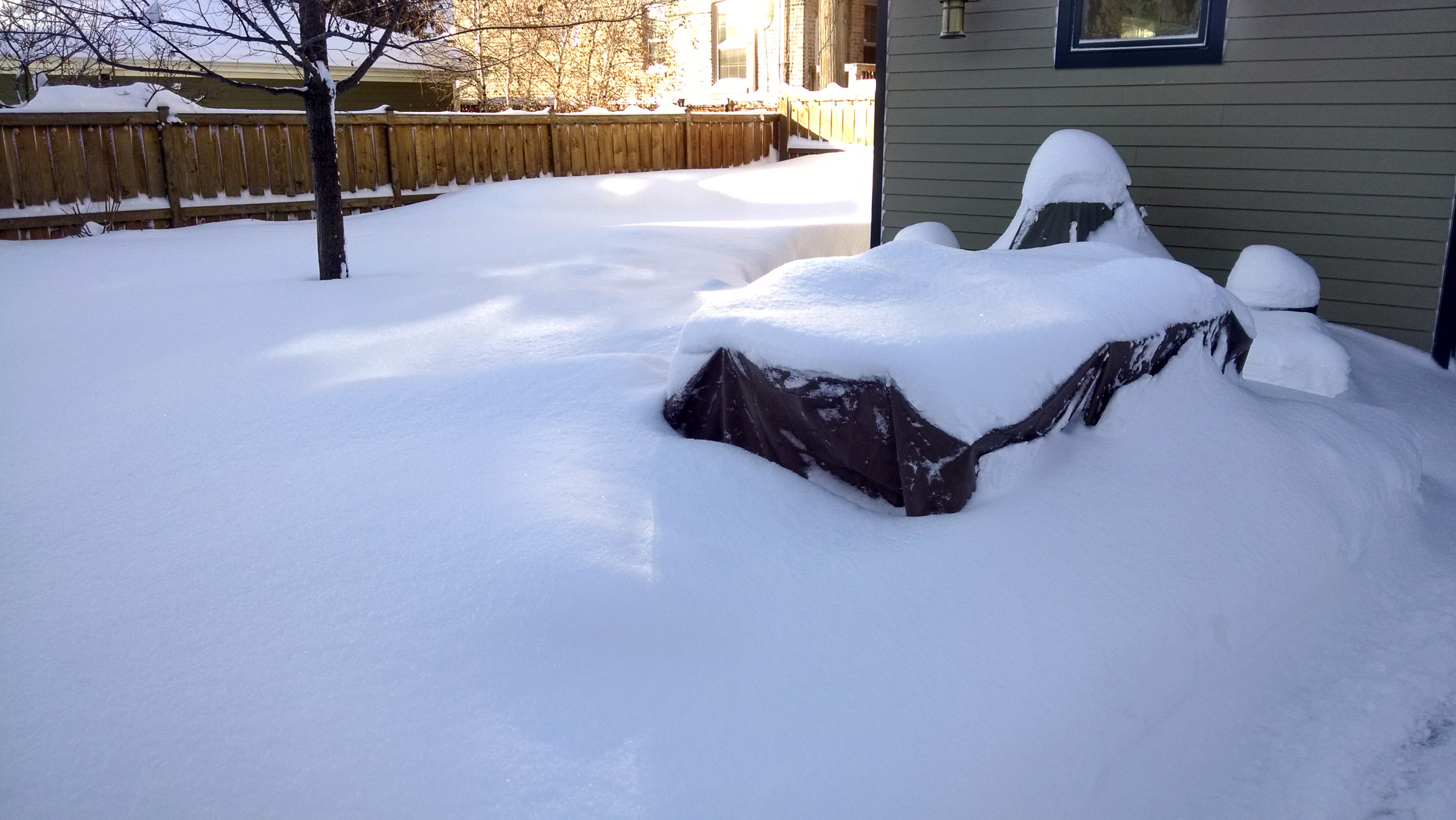 How I Learned To Stop Worrying And Love The Chicago Winter