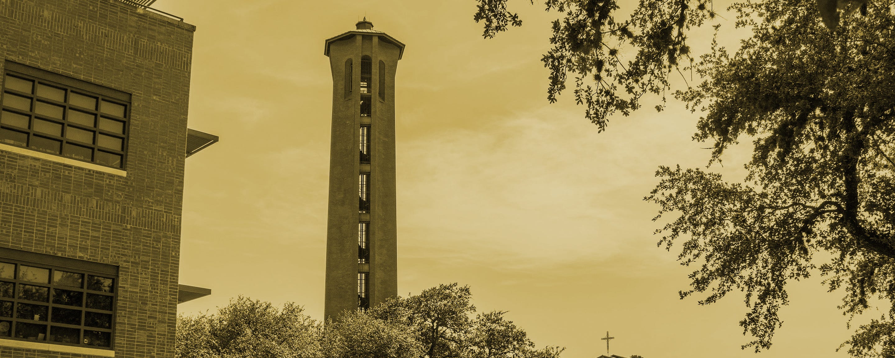 Towering Mercy: A Qualities of Mercy Dispatch | by ACMRS Arizona | The