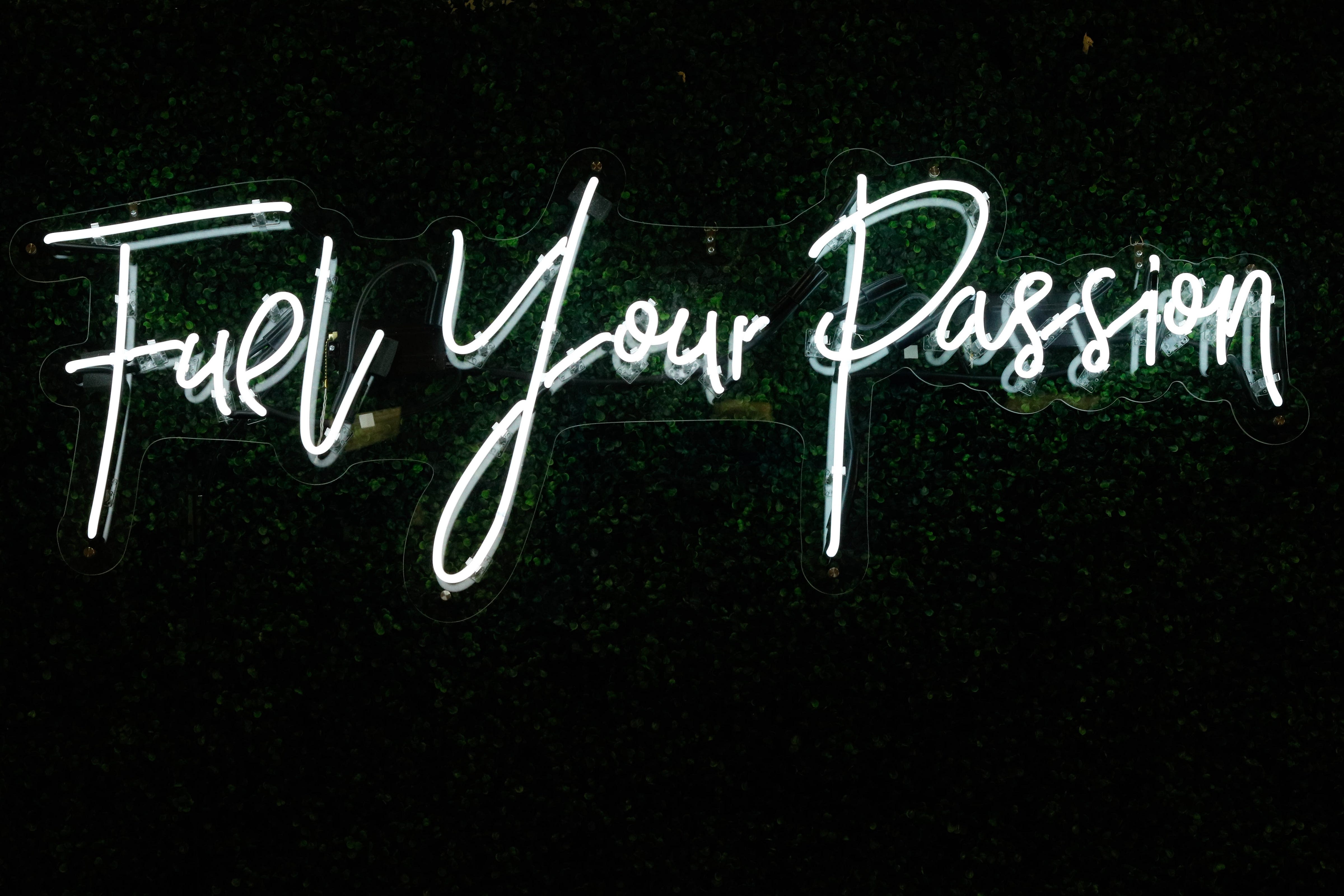 The Problem With Pursuing Passion By Alyssa Fechner The Startup Medium The Problem With Pursuing Passion By Alyssa Fechner The Startup Medium