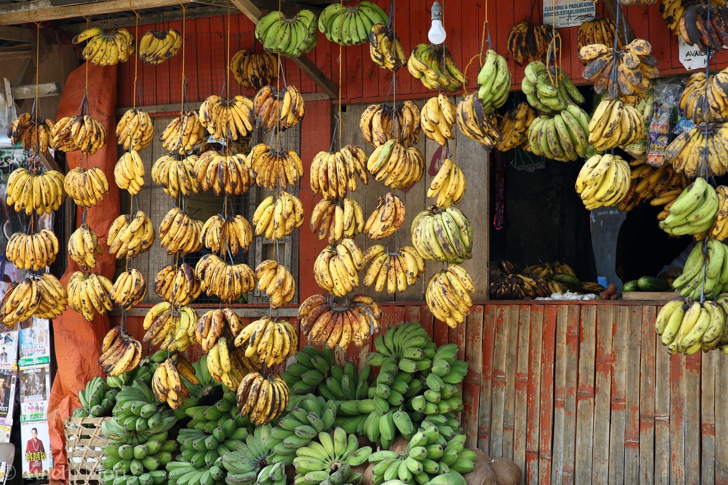 あなたのバナナは良いバナナ バナナを通して見るミンダナオ島における搾取構造 By Yuichi Mori Yuichi Mori Journal Jp Medium