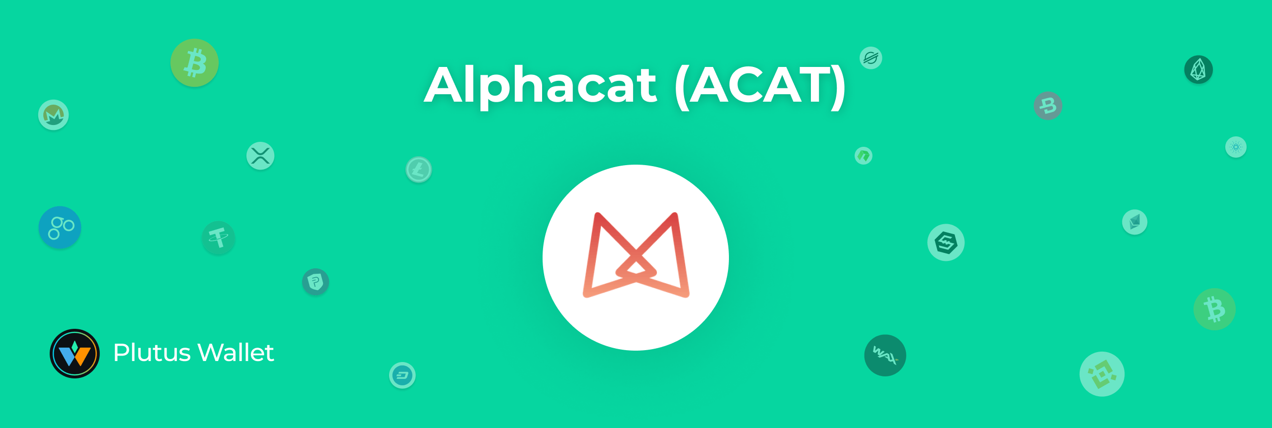 Alphacat Acat Soin Review We At Plutus Wallet Continue To Explore By Plutus Wallet Medium Alphacat Acat Soin Review We At Plutus Wallet Continue To Explore By Plutus Wallet Medium