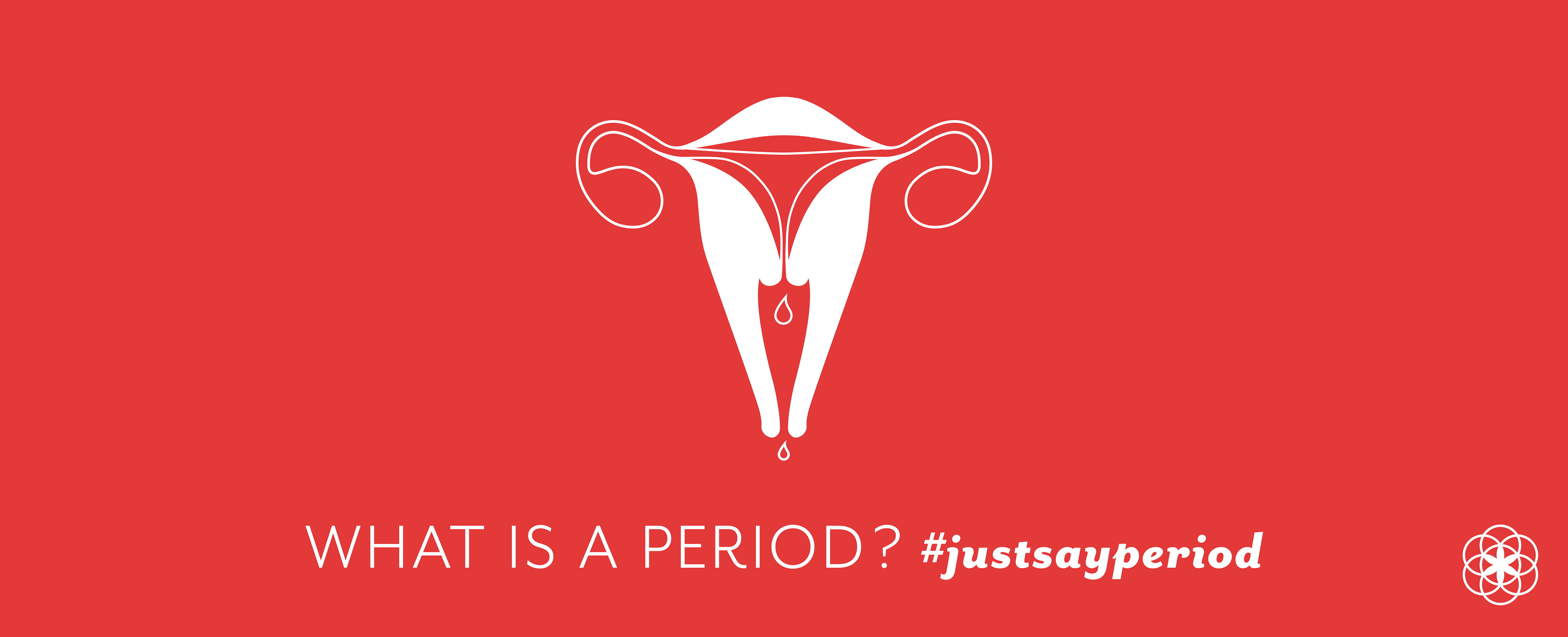 Why Do We Get Periods