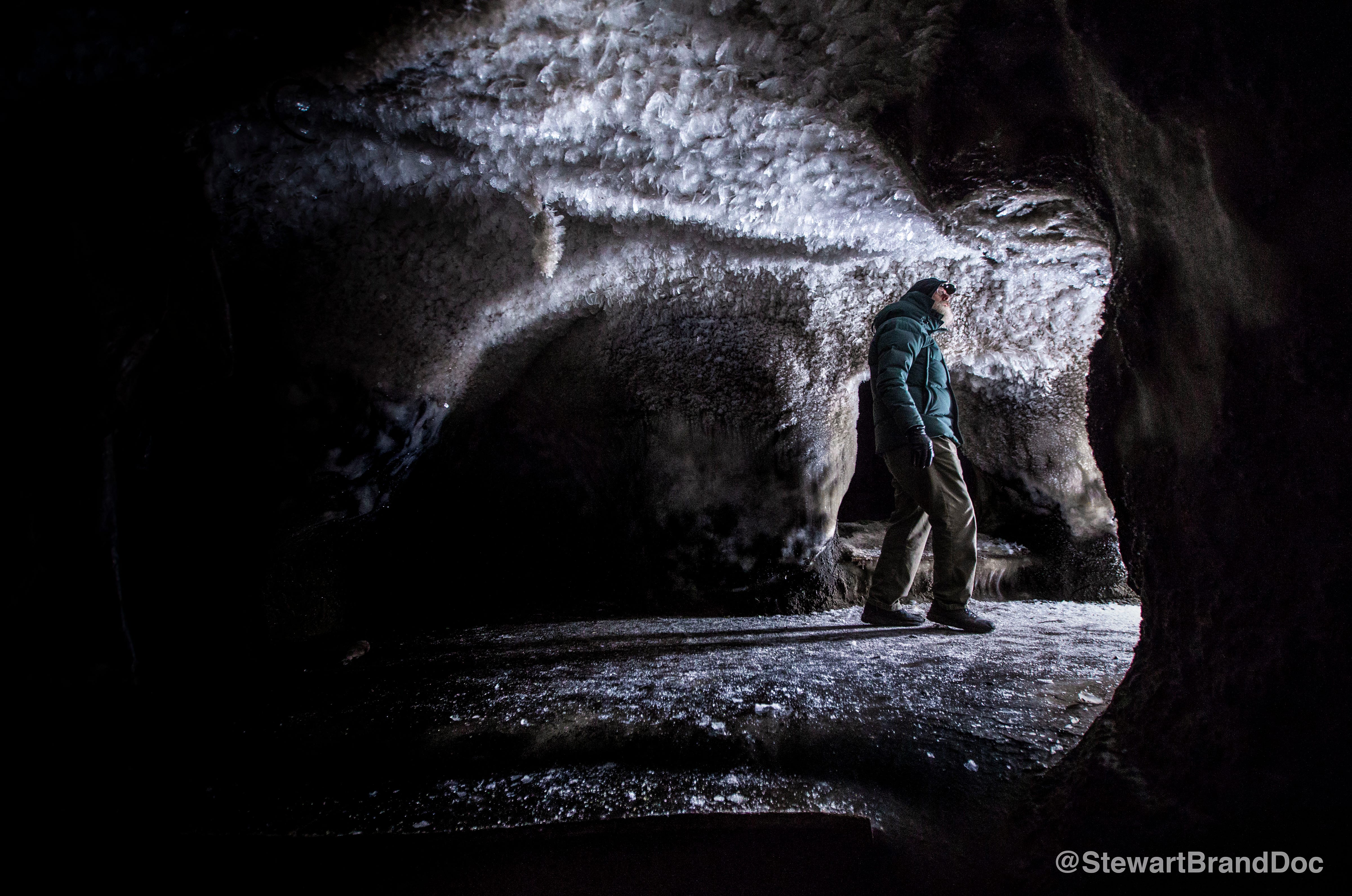 Efforts Underway To Fully Fund Idea >> A Journey To Siberia In Search Of Woolly Mammoths The Long Now Efforts Underway To Fully Fund Idea >> A Journey To Siberia In Search Of Woolly Mammoths The Long Now