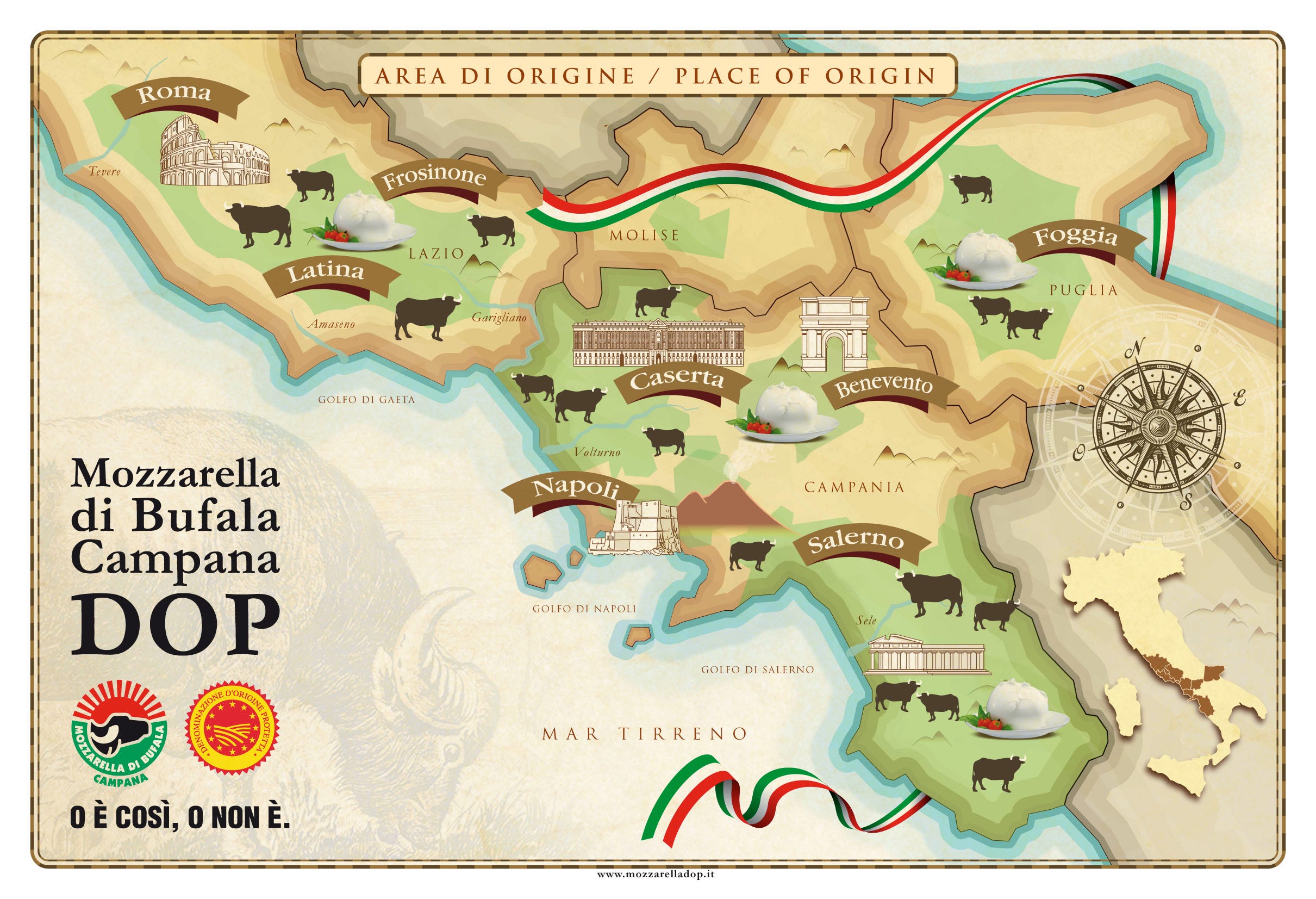 Les fromages AOP en France Guide des fromages français Medium