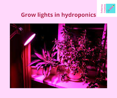 grow lights hydroponics